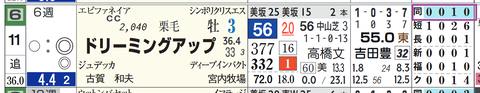 新潟11R3