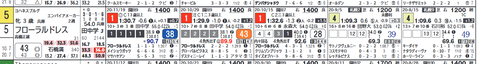 ９Ｒ⑤フローラルドレス