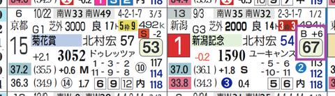 ノッキングポイント（新潟記念）