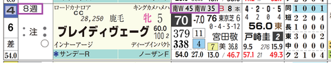 ブレイディヴェーグ（「追切指数」）