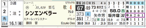 シンエンペラー（「コース実績」）