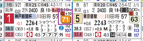 エリキング(神戸新聞杯)