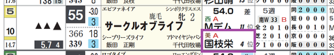 サークルオブライフ（国枝厩舎）