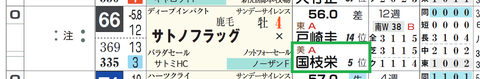 サトノフラッグ（国枝厩舎）