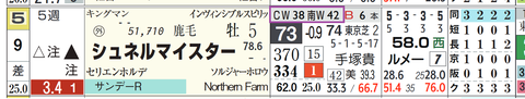シュネルマイスター（「追切指数」）