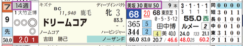ドリームコア（「追切指数」）