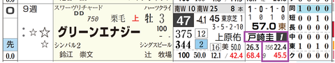 グリーンエナジー(戸崎騎手)