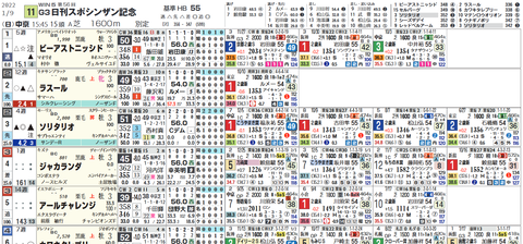シンザン記念１