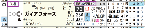 ガイアフォース（「追切指数」）