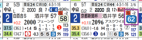 ヴェローナシチー(京都新聞杯)