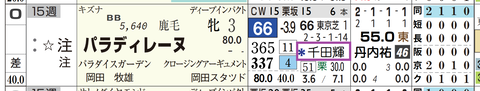 パラデレーヌ（２頭出し以上は「＊」で表示）