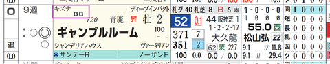 ギャンブルルーム（キズナ産駒）