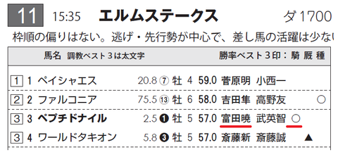ペプチドナイル（富田暁騎手）