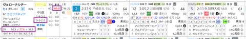 ヴェローナシチー