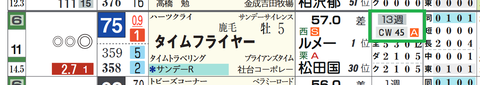 タイムフライヤー(「追切指数」)
