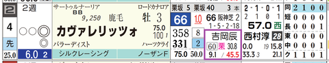 カヴァリレッツォ（吉岡厩舎）
