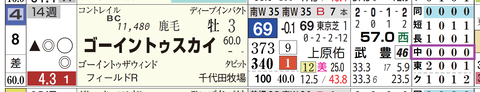 ゴーイントゥスカイ（「コース実績」）