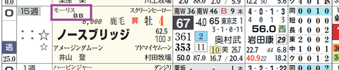 ノースブリッジ(モーリス産駒)