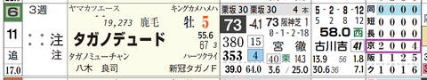 タガノデュード（「コース実績」）