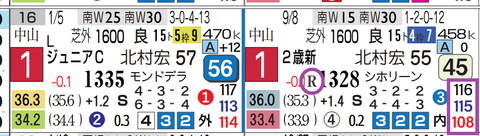 ファンダム（新馬）