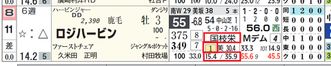 ロジハービン（国枝厩舎）