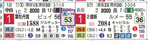ヴィンセンシオ（葉牡丹賞）