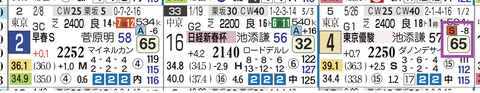 サンライズアース(ダービー)