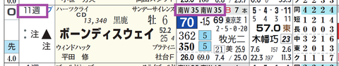 ボーンディスウェイ（「追切指数」）