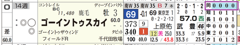 ゴーイントゥスカイ（「コース実績」）