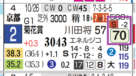 エリキング(菊花賞)