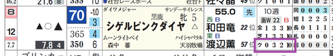 シゲルピンクダイヤ(「クラス成績」)