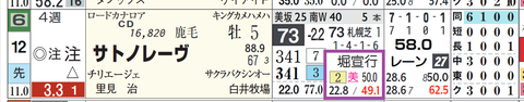 サトノレーヴ（堀厩舎）