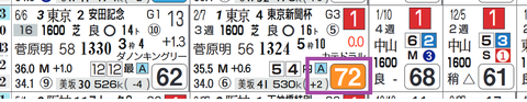 カラテ(東京新聞杯)