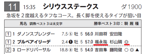 ブルベアイリーデ（福永騎手）