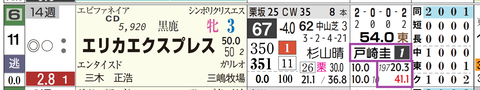 エリカエクスプレス（戸崎騎手）