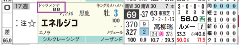 エネルジコ（ドゥラメンテ産駒）