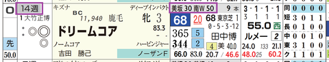 ドリームコア（「追切指数」）