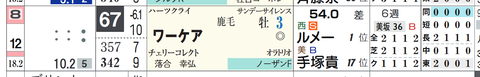 ワーケア(ルメール騎手)