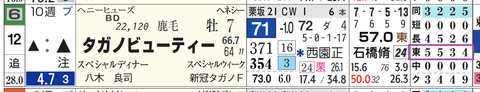 タガノビューティー（「コース実績」）