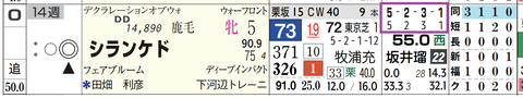シランケド（「全成績」「芝成績」）