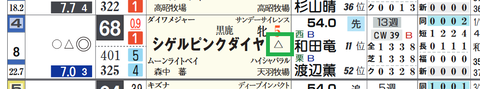 シゲルピンクダイヤ(「重馬場適性」)