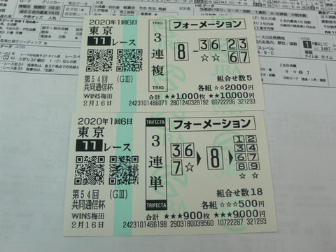 【馬券】1回東京6日11