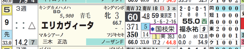 エリカヴィータ（国枝厩舎）