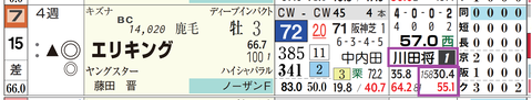 エリキング(川田騎手)