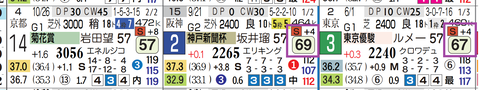 ショウヘイ（神戸新聞杯）