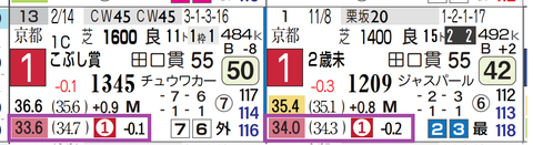 ナムラコスモス（上がり最速）