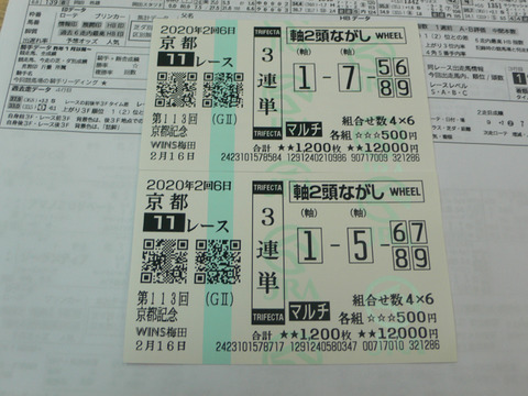【馬券】2回京都6日11