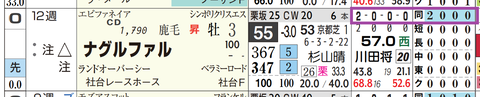 ナグルファル（「全成績」「距離実績」）