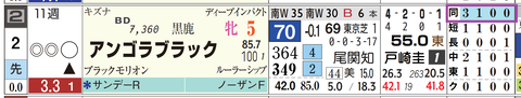 アンゴラブラック（「距離実績」）