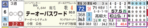 テーオーパスワード（松山騎手）